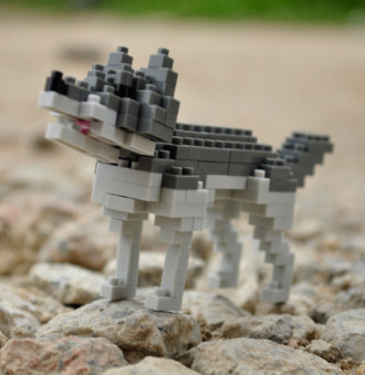 Wisehawk Gray Wolf - 139 Pieces (10.5cm Long)